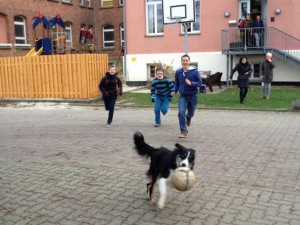 Schulhund Emil begeistert - Bild 3